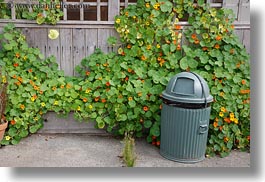 beaches, california, cans, flowered, green, horizontal, ivy, marin, marin county, north bay, northern california, stinson beach, trash, wedding, west coast, western usa, photograph