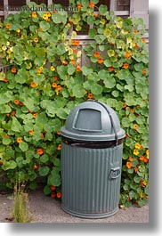 beaches, california, cans, flowered, green, ivy, marin, marin county, north bay, northern california, stinson beach, trash, vertical, wedding, west coast, western usa, photograph