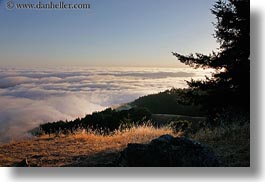 california, fog, hills, horizontal, marin, marin county, north bay, northern california, prenup photos, stinson beach, wedding, west coast, western usa, photograph