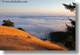 california, fog, hills, horizontal, marin, marin county, north bay, northern california, prenup photos, stinson beach, wedding, west coast, western usa, photograph