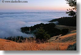 california, fog, hills, horizontal, marin, marin county, north bay, northern california, prenup photos, stinson beach, wedding, west coast, western usa, photograph