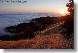 california, fog, hills, horizontal, marin, marin county, north bay, northern california, prenup photos, stinson beach, wedding, west coast, western usa, photograph