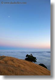 california, fog, hills, marin, marin county, north bay, northern california, prenup photos, stinson beach, vertical, wedding, west coast, western usa, photograph