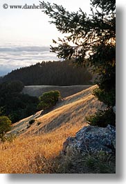 california, fog, hills, marin, marin county, north bay, northern california, prenup photos, stinson beach, vertical, wedding, west coast, western usa, photograph