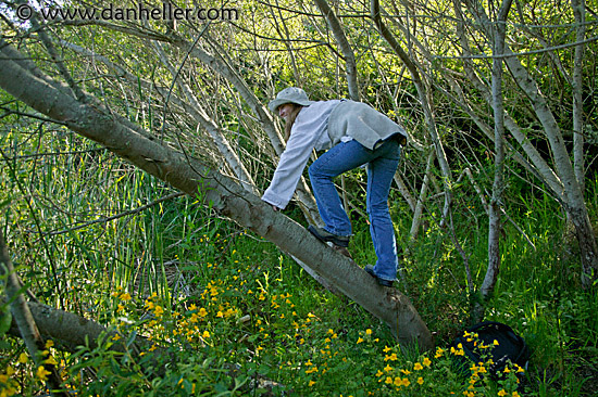 jill-climbing-tree.jpg