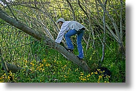 images/California/Marin/Tennessee/jill-climbing-tree.jpg