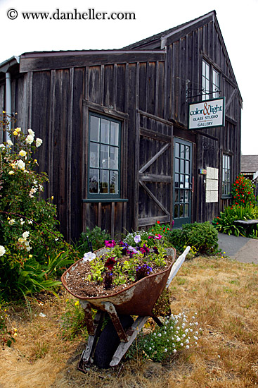 wheel-barrow-w-flowers-n-barn.jpg