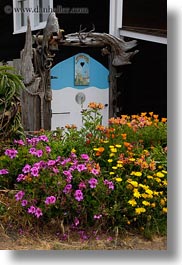images/California/Mendocino/Flowers/colorful-flowers-1.jpg