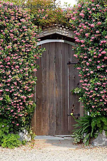 flowers-n-door.jpg