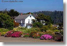 images/California/Mendocino/Flowers/house-n-flowers-1.jpg