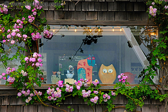 pink-flowers-n-art-window-1.jpg
