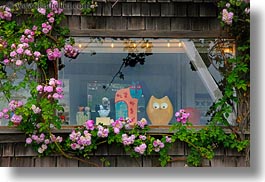 images/California/Mendocino/Flowers/pink-flowers-n-art-window-1.jpg