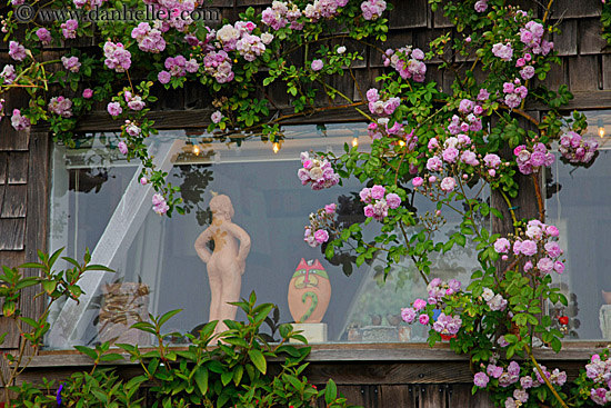 pink-flowers-n-art-window-2.jpg