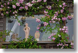 images/California/Mendocino/Flowers/pink-flowers-n-art-window-2.jpg