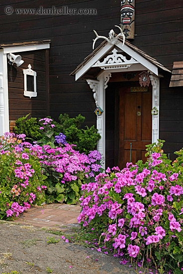 pink-flowers-n-door-3.jpg