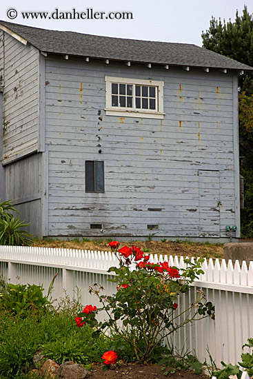 red-flowers-n-gray-bldg.jpg