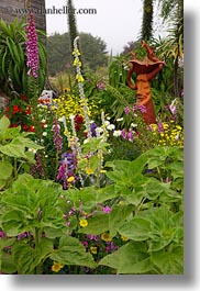 california, flowers, mendocino, nature, sculptures, vertical, west coast, western usa, photograph