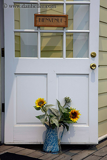sunflowers-n-door.jpg