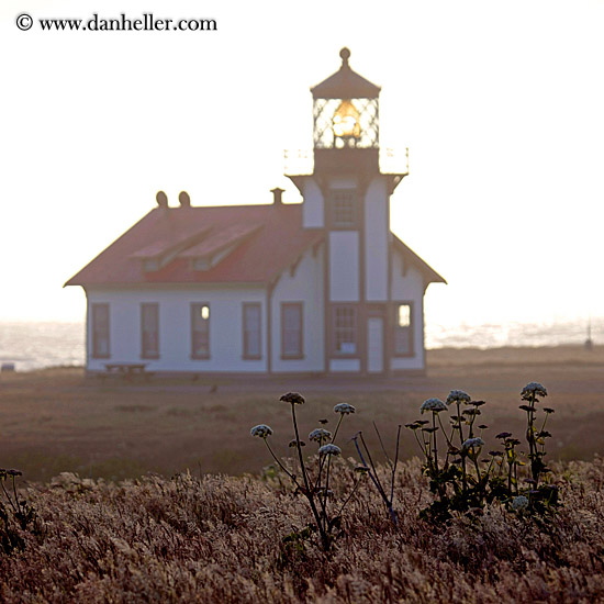 cabrillo-lighthouse-field-n-fog-01.jpg