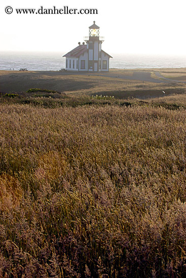 cabrillo-lighthouse-field-n-fog-02.jpg