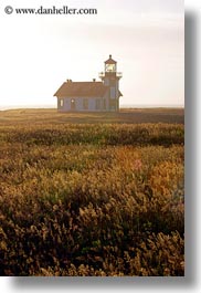 buildings, cabrillo, california, days, fields, fog, haze, lighthouses, mendocino, structures, vertical, west coast, western usa, photograph