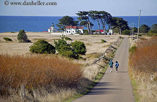 joggers-on-road-to-light_house.jpg