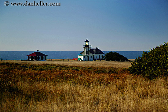 light_house-n-field.jpg