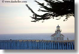 branches, buildings, california, days, fences, horizontal, lighthouses, mendocino, nature, plants, structures, trees, west coast, western usa, photograph