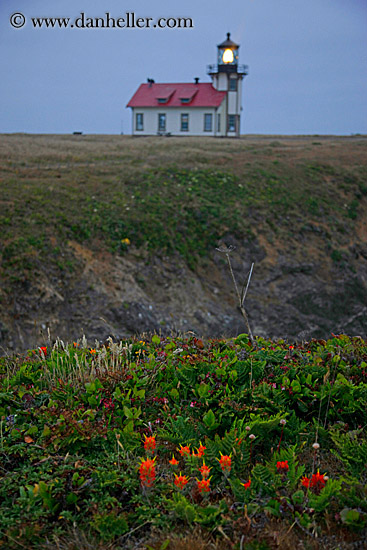 lighthouse-n-flowers.jpg