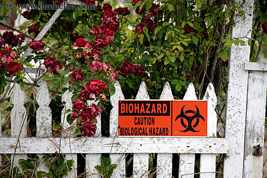 biohazard-sign-n-flowers.jpg