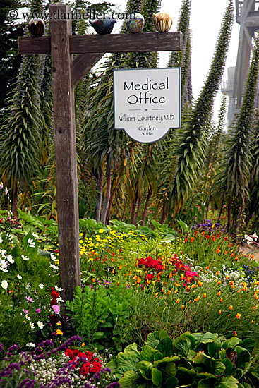 medical-office-sign-n-flowers-2.jpg