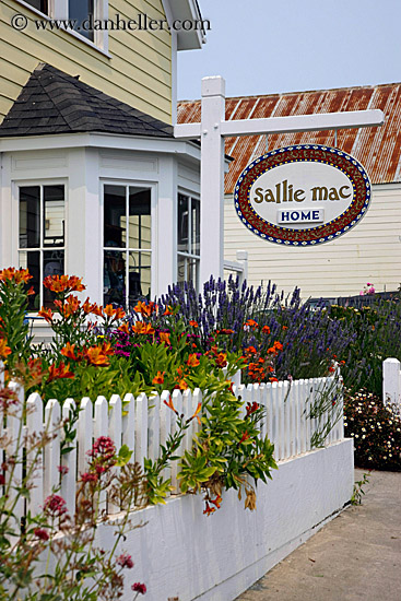 sallie-mac-sign-n-flowers-fence.jpg