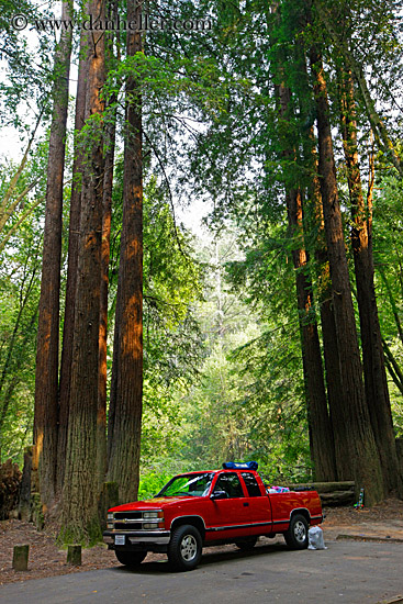 red-truck-in-forest.jpg