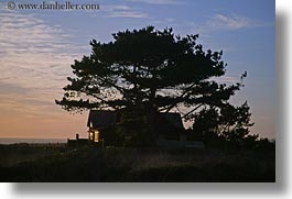 images/California/Mendocino/Trees/tree-house-dusk-sil2.jpg