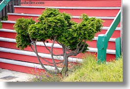 california, horizontal, mendocino, red, stairs, trees, west coast, western usa, photograph