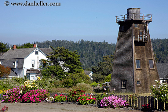 water_tower-n-flowers-1.jpg