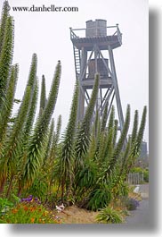 images/California/Mendocino/WaterTowers/water_tower-n-flowers-3.jpg