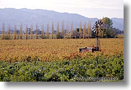 california, farm, horizontal, napa, west coast, western usa, windmills, photograph
