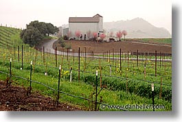 california, horizontal, houses, napa, vineyards, west coast, western usa, photograph