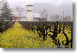 california, horizontal, houses, napa, vineyards, west coast, western usa, photograph