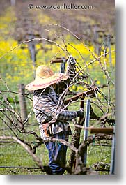 images/California/Napa/worker01.jpg