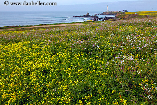 lighthouse-n-greenery-03.jpg