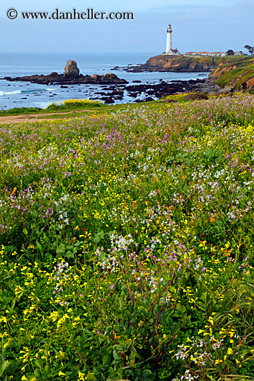 lighthouse-n-greenery-04.jpg