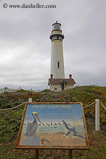lighthouse-n-sign-03.jpg
