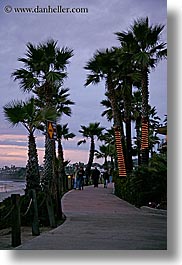 images/California/SanDiego/Beaches/lighted-palm_trees-n-sidewalk-dusk.jpg