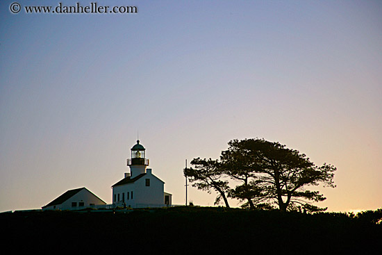 old-point-loma-lighthouse-n-tree-1.jpg