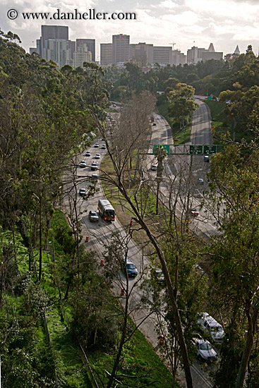 highway-traffic-n-trees.jpg