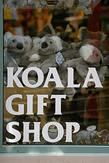 koala-gift-shop-sign.jpg