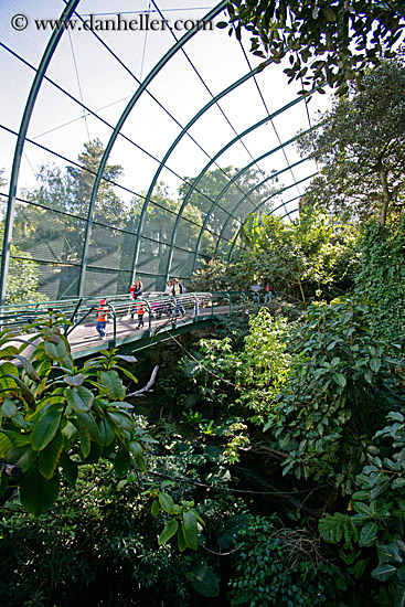 plants-in-aviary.jpg