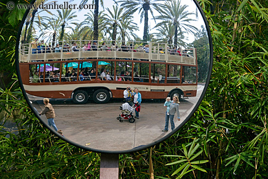 round-mirror-reflection-1.jpg
